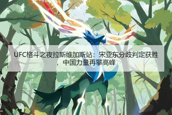 UFC格斗之夜拉斯维加斯站：宋亚东分歧判定获胜，中国力量再攀高峰
