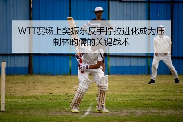 WTT赛场上樊振东反手拧拉进化成为压制林昀儒的关键战术